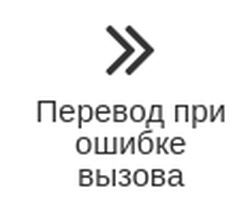 perevod_vizova.jpg